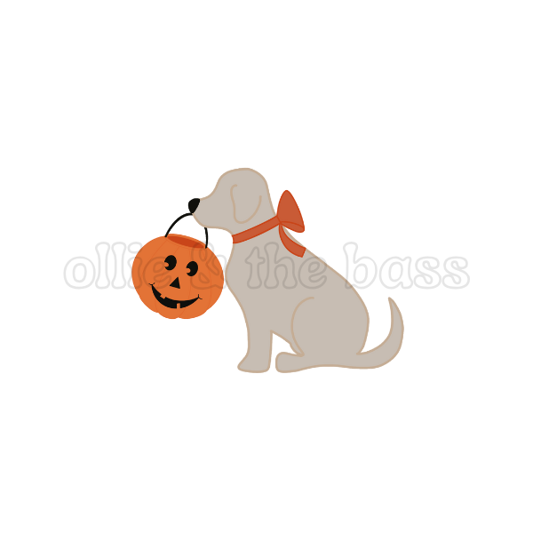 Dog with Bow + Pumpkin