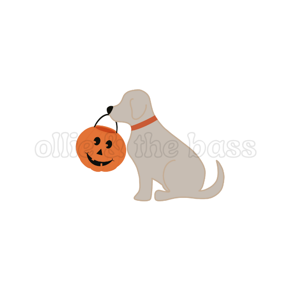 Dog with Pumpkin