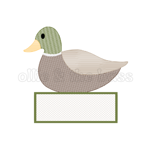 Duck
