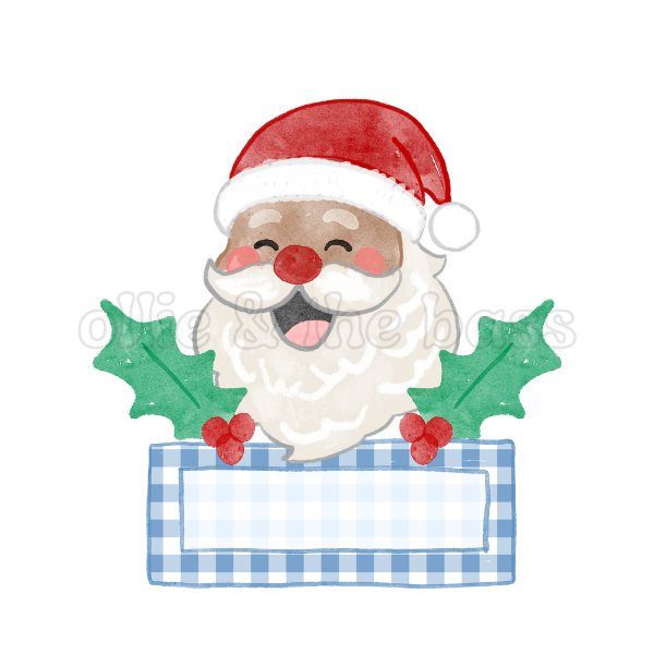 Blue Medium Skin Santa